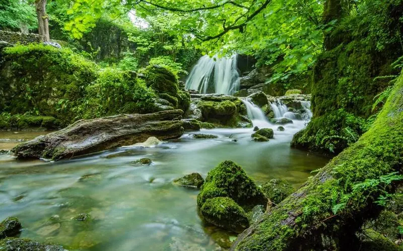 高端独特独特